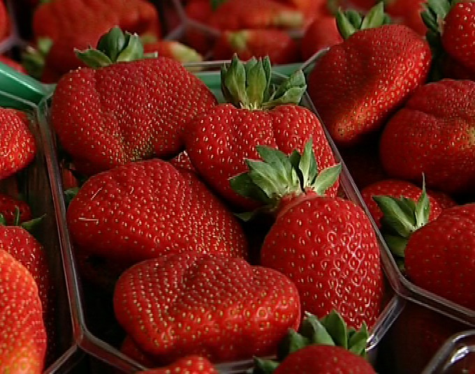 fragole