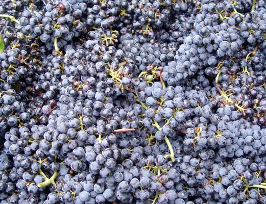 red_grapes
